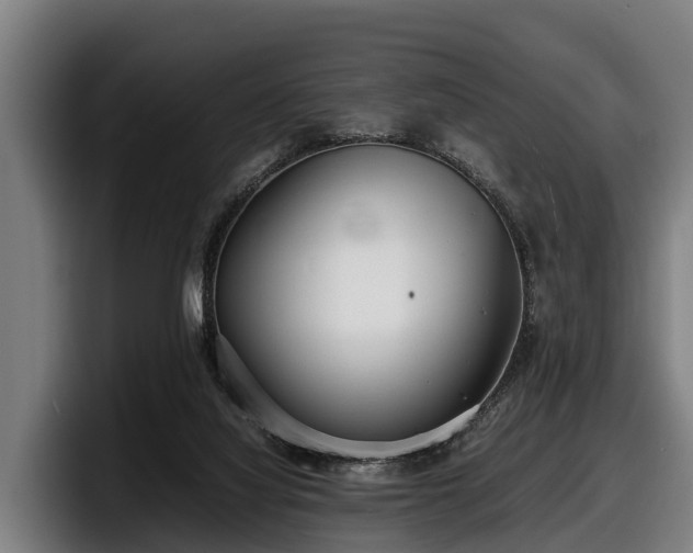 X0000097820068200803201446