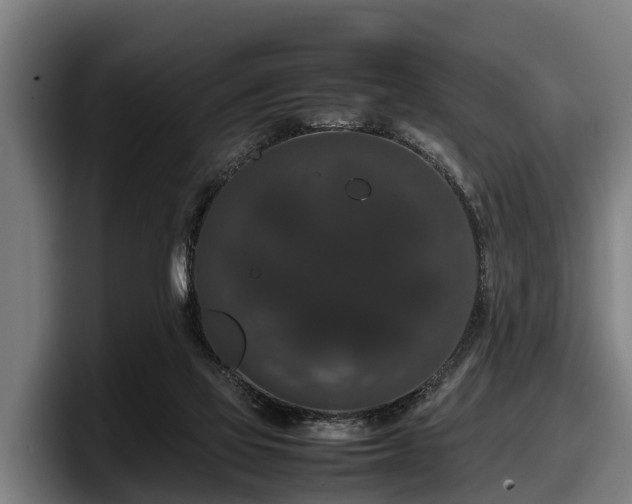 X0000097820069200803201446