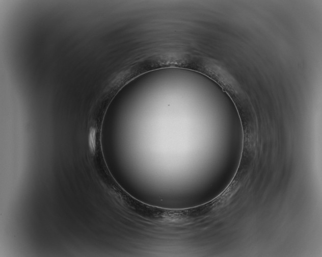 X0000097820070200803201446