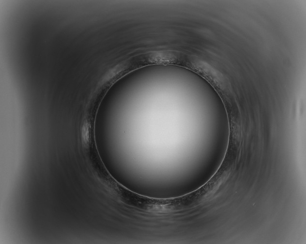 X0000097820071200803201446