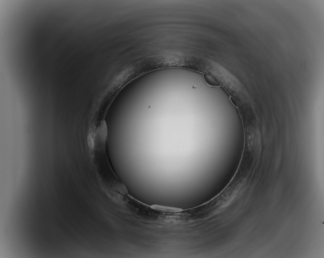 X0000097820072200803201446