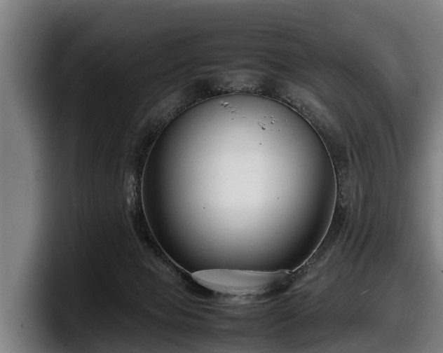 X0000097820077200803201446