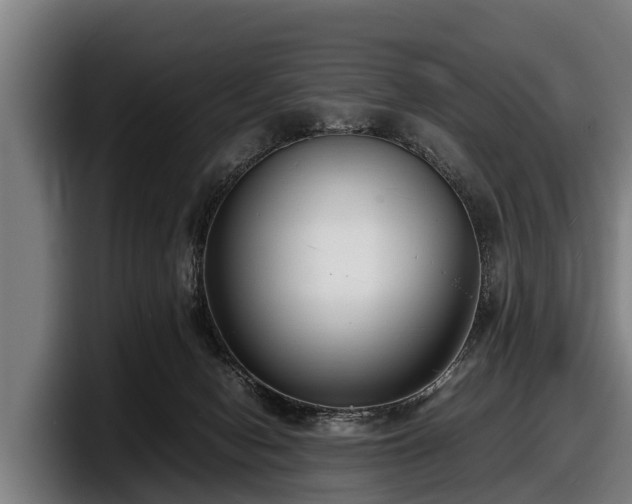 X0000097820078200803201446