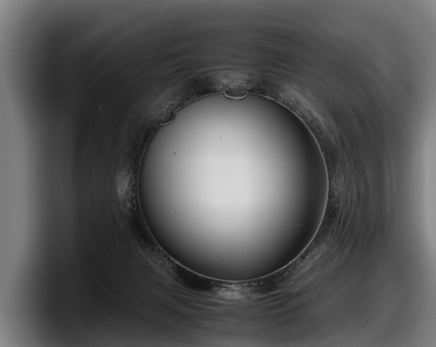 X0000097820079200803201446