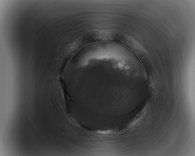 X0000097820080200803201446