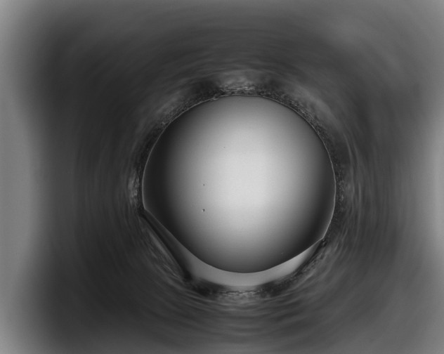 X0000097820081200803201446