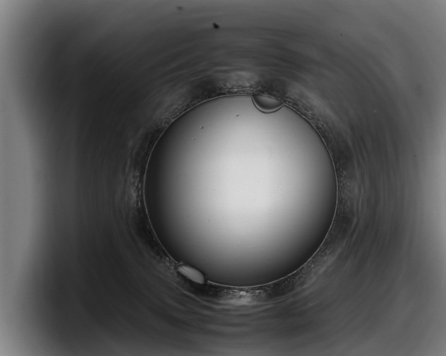 X0000097820083200803201446