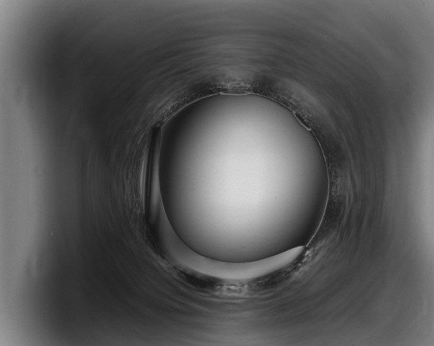 X0000097820084200803201446