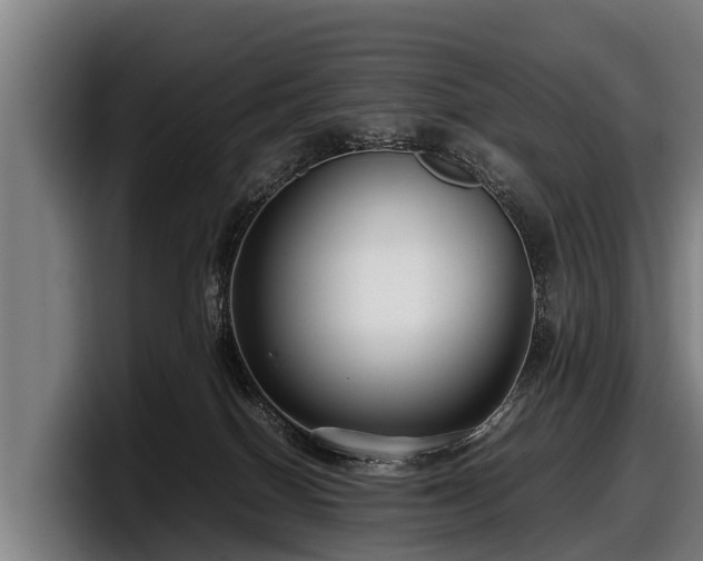 X0000097820086200803201446