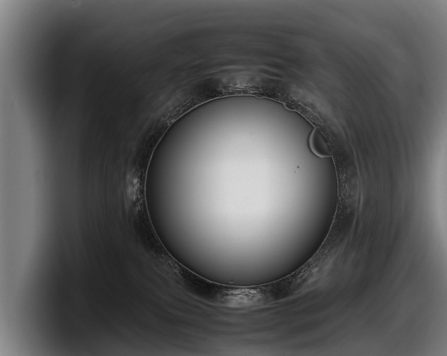 X0000097820087200803201446