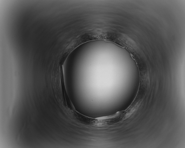 X0000097820088200803201446