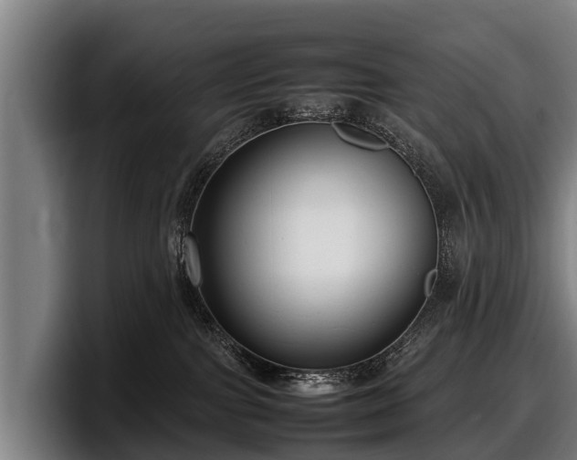 X0000097820091200803201446