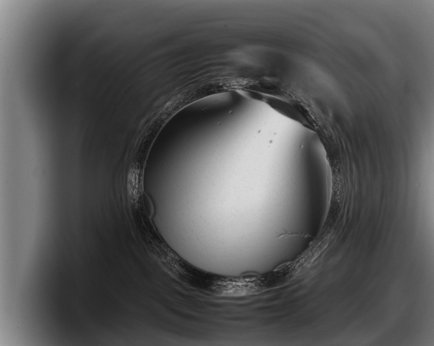 X0000097820093200803201446