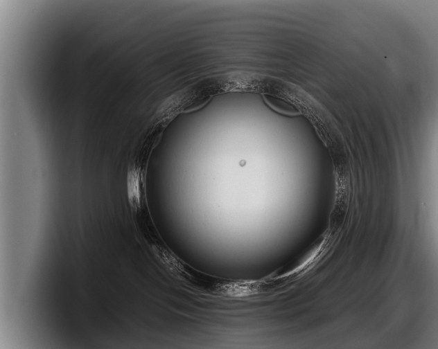 X0000097820094200803201446