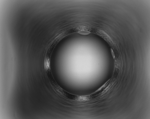 X0000097820095200803201446