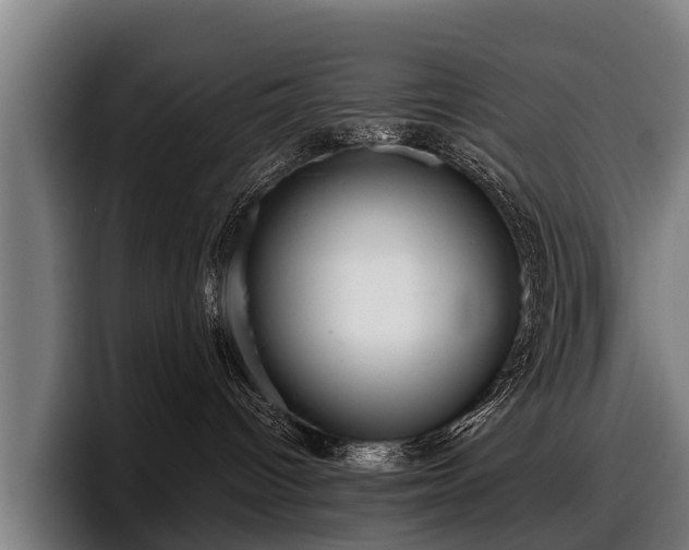 X0000097820096200803201446