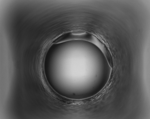 X0000097820097200803201445