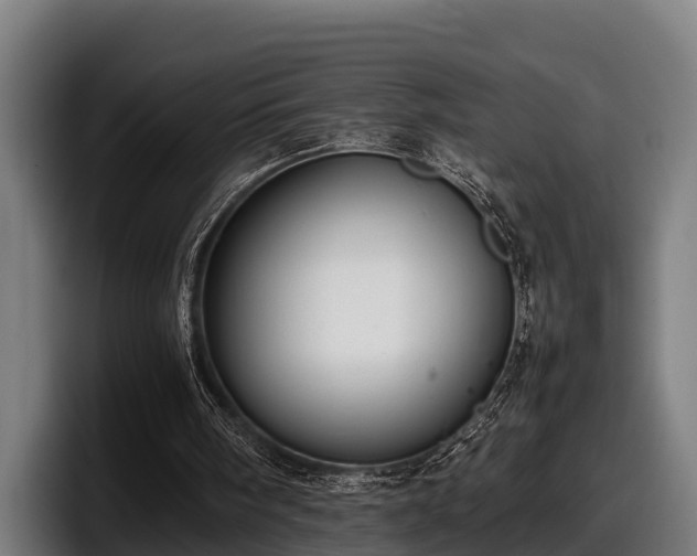 X0000097820098200803201445