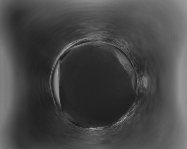 X0000097820100200803201445