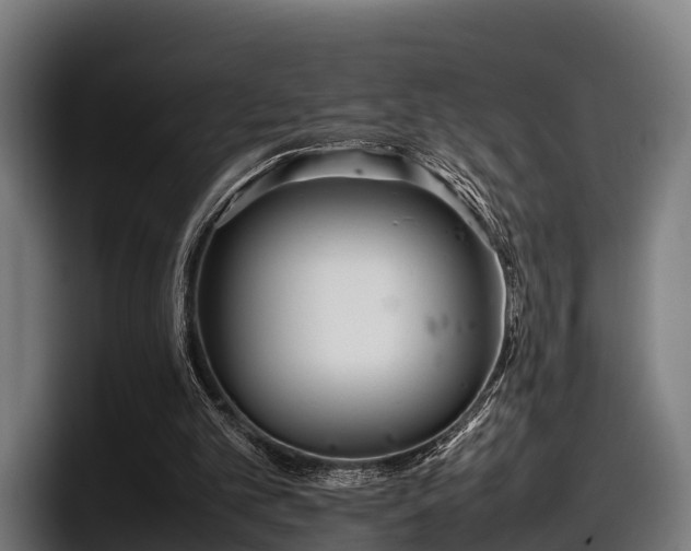 X0000097820101200803201445