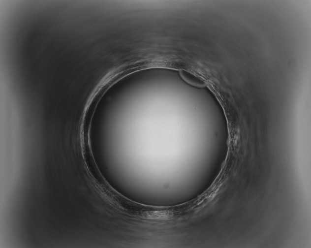 X0000097820102200803201445