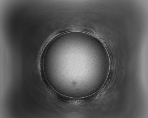 X0000097820103200803201445