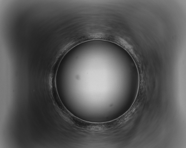 X0000097820106200803201445