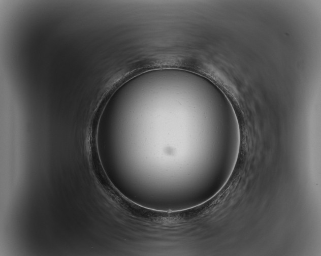 X0000097820107200803201445