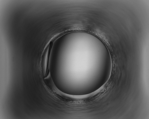 X0000097820108200803201445