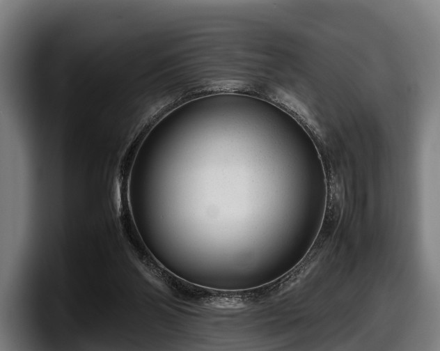 X0000097820110200803201445