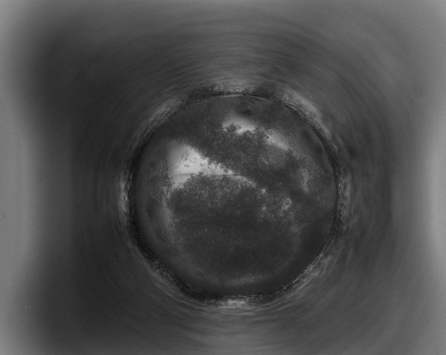 X0000097820114200803201445