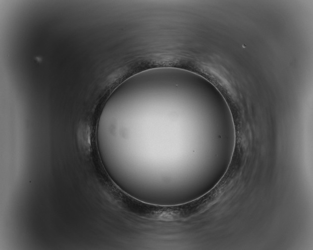 X0000097820115200803201445