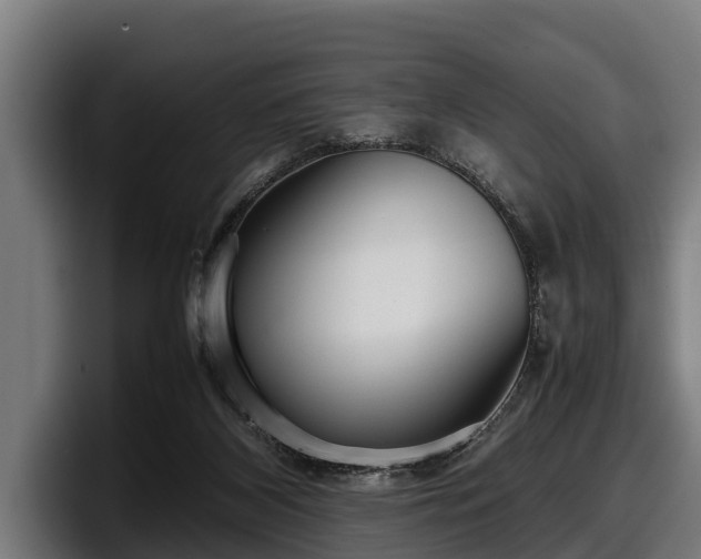 X0000097820116200803201445