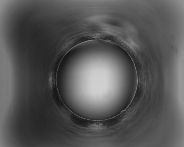 X0000097820119200803201445