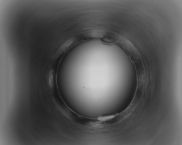 X0000097820120200803201445