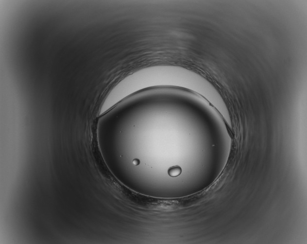 X0000097820128200803201445