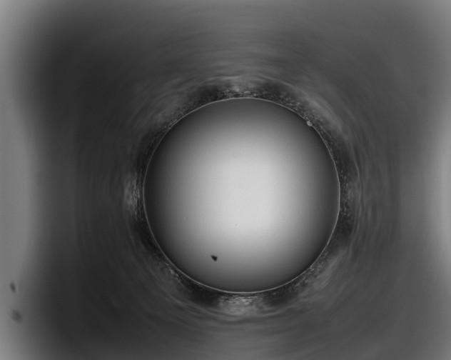 X0000097820129200803201445