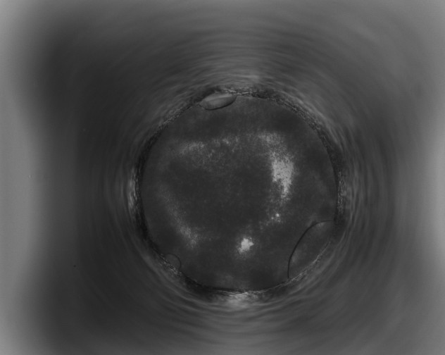 X0000097820130200803201445