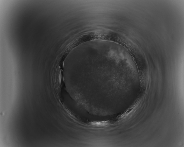 X0000097820137200803201445