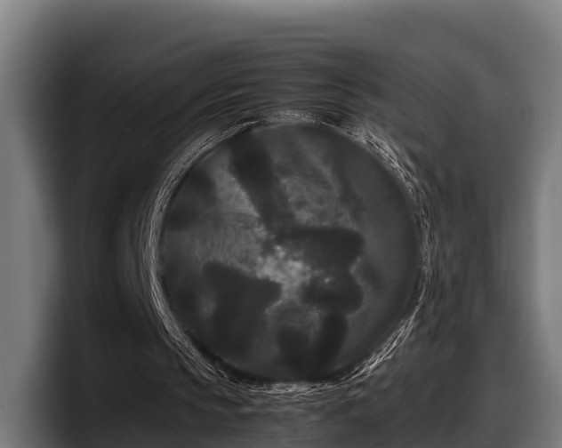 X0000097820145200803201444