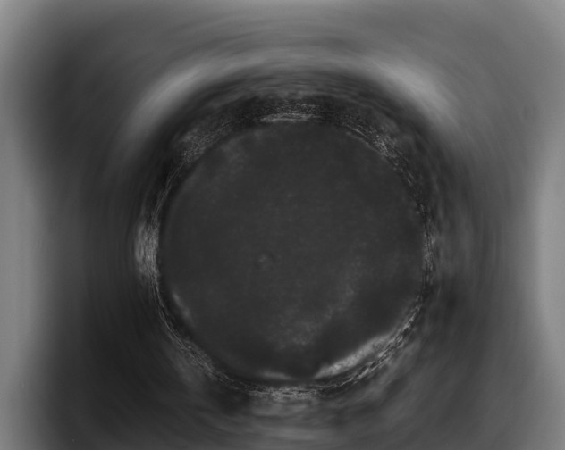 X0000097820146200803201444