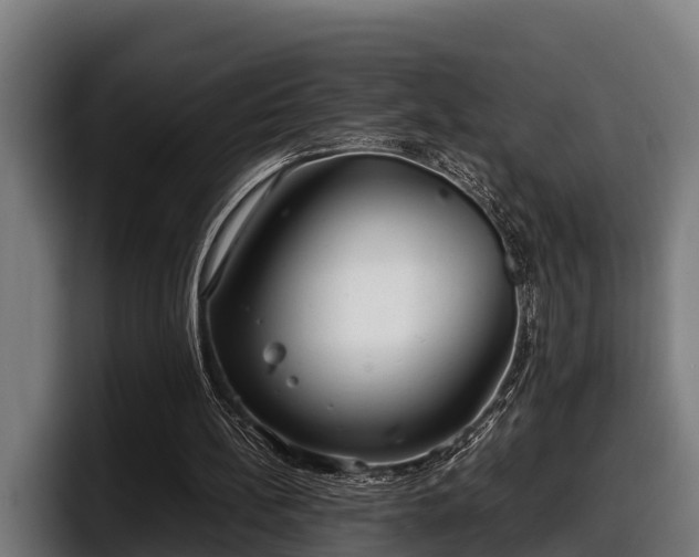 X0000097820148200803201444