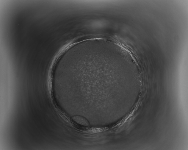 X0000097820149200803201444