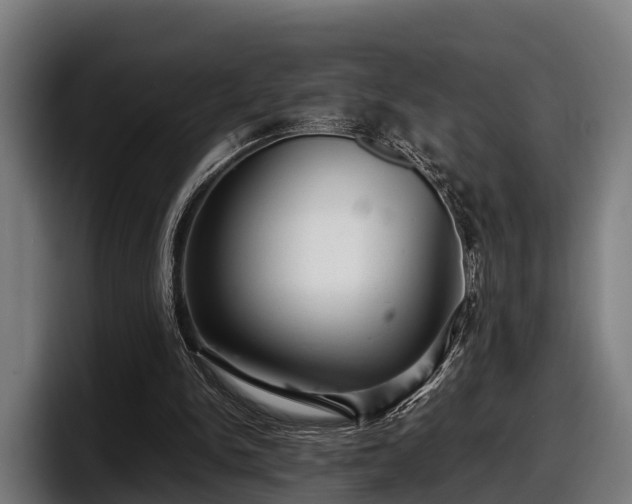 X0000097820150200803201444