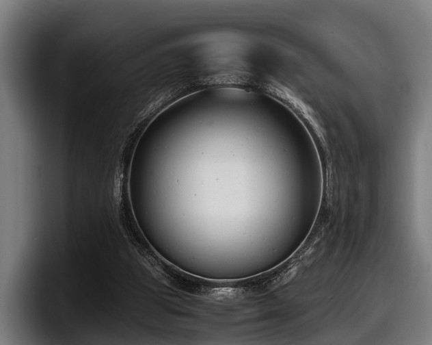 X0000097820153200803201444