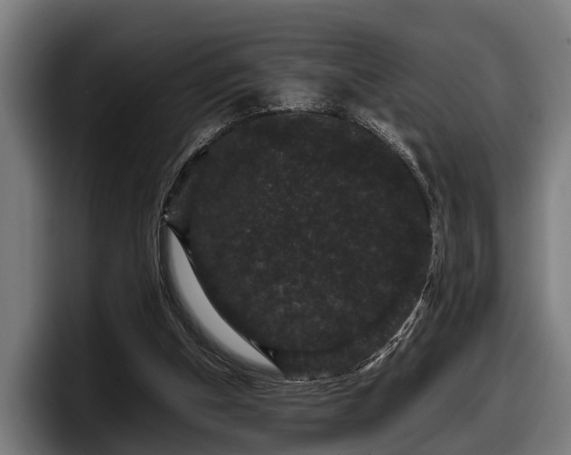 X0000097820154200803201444