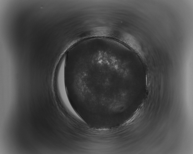 X0000097820156200803201444