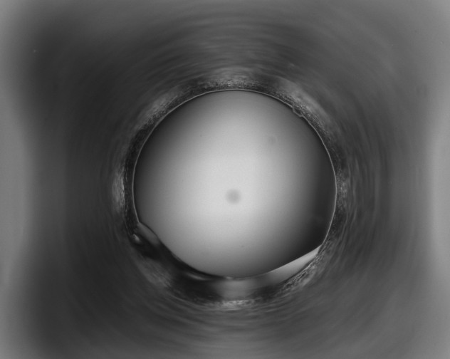 X0000097820158200803201444