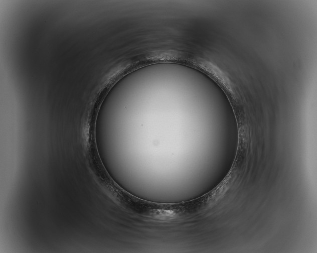 X0000097820159200803201444