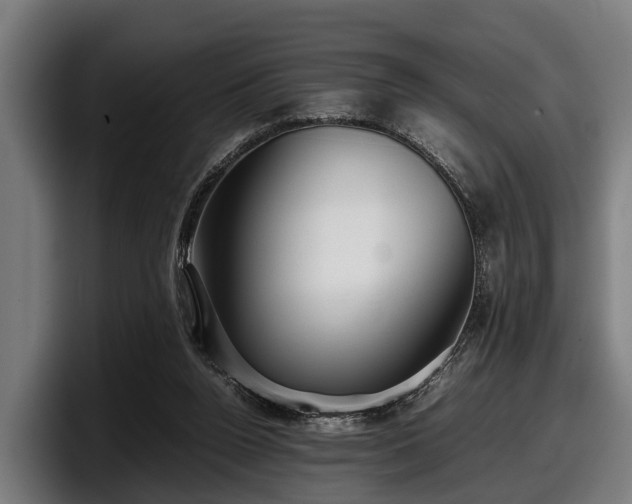 X0000097820160200803201444